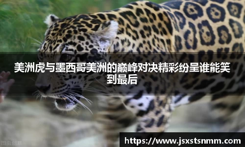 美洲虎与墨西哥美洲的巅峰对决精彩纷呈谁能笑到最后